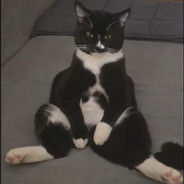 jacekxdf