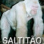 SALTITÃO