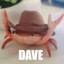 Dave