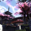 koth_suijin