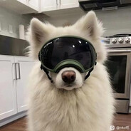 Big Avatar