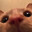 lil cat avatar