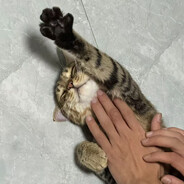 在六月