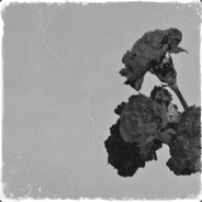 Horsemen of the Apocalypse