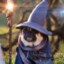 DogWizard