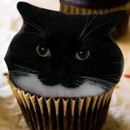 verwwwwwwwwwwwwwwwww