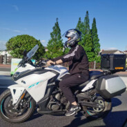 吃不饱的小包子