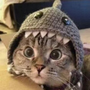 90岁高龄老同志