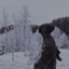 жорик местный мажорик