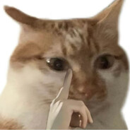 做一只不被定义的微胖猫猫