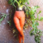 The Sexy Carrot