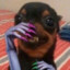 matheusbr