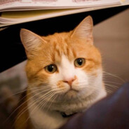 王俊凯今天吃早饭了吗