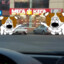 КЕГА И  ПЁС