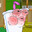 MisterShake