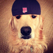 Ð´Ð¸Ð±Ð¸Ð»