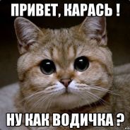 qwemat