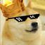 king doge