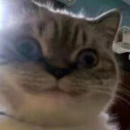 你知道我什么成分的