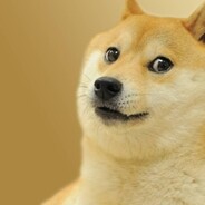 HMP