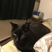 dirtyape - steam id 76561197960562387