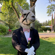 Oh shit it's Lama