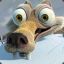 Scrat ( D )