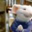 ED