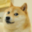 doge98080