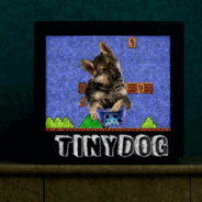 DeTinyDog