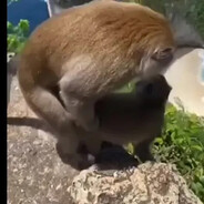 3.14_twoshock - steam id 76561199044320354