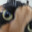 cacique marmota SKINS
