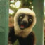 |ZoBoMaFoo