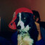 jokr's avatar