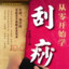我和我的动物朋友