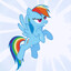 rainbow dash