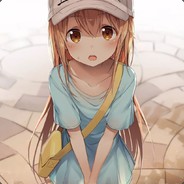 卢家村村长丶丶