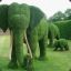 Green Elephant