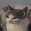 котук