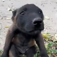 感动哭十三亿中国人