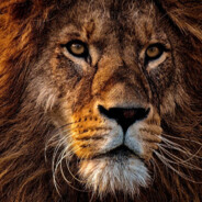 gadaev777 - steam id 76561199829388067