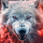 Mamma White Wolf's avatar