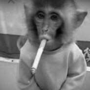 bublich - steam id 76561199823736067