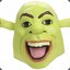 ˜”*°•.Shrek.•°*”˜