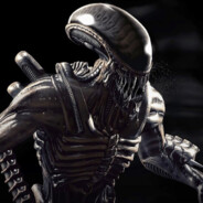 xenomorph_enjoyer avatar