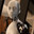 ai.jpg