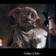 The King of Dobby