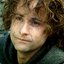 Peregrin Took