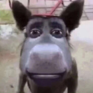 ферзь