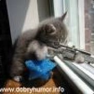 Eco dariusz cichocki